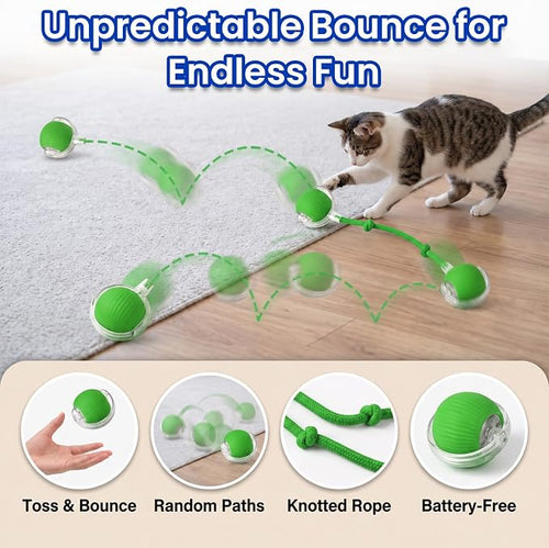 Automatic Rolling Dog Ball Toy - Rechargeable Smart Interactive Toy