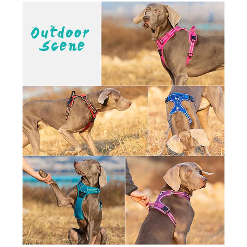 No-Pull Nylon Dog Harness | Adjustable Front Vest for All Dogs