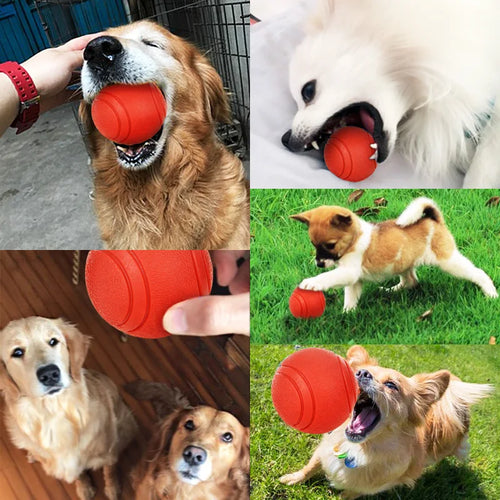 Durable Rubber Bounce Ball - Bite-Resistant Dog Toy for All Sizes