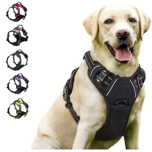 Personalized Leather-Style Dog Harness Set – Comfortable Vest
