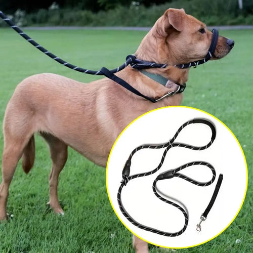 2-in-1 Adjustable Training Dog Leads with Anti-Bite Muzzle