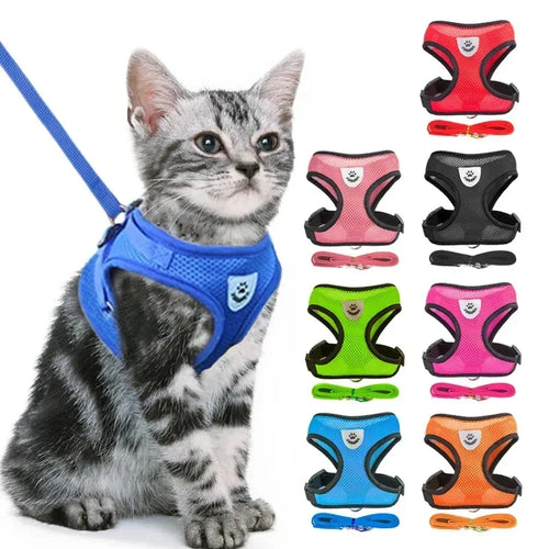 Adjustable Mesh Vest Harness & Leash - Breathable for Cats & Dogs