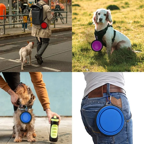 Folding Silicone Dog Bowl with Carabiner – Portable Travel Feeder