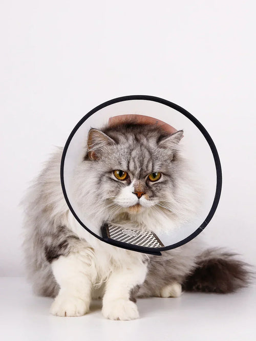 Adjustable Pet Recovery Collar After Surgery - Cone for Cats and Dogs
