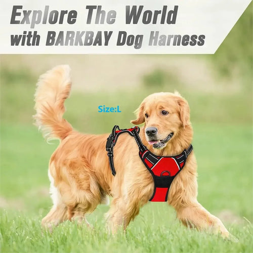 Personalized Leather-Style Dog Harness Set – Comfortable Vest