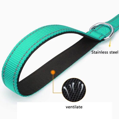 Reflective Nylon Dog Leash with Comfortable Handle for Night Walks
