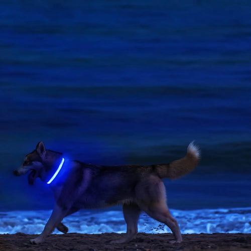 LED Glow Dog Collar - Battery-Powered Night Walking Safety Collar