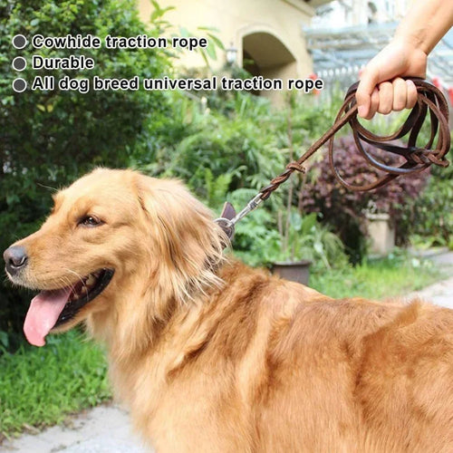 Genuine Leather Braided Dog Leash for Medium and Large Dog Breeds
