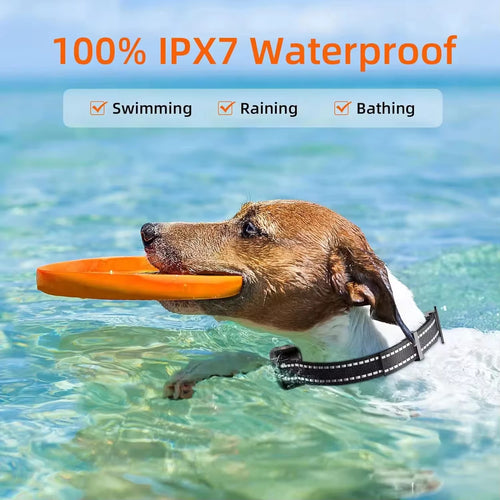 IPX7 Waterproof Rechargeable Dog Training Collar for 1-3 Dogs, 3300FT Range
