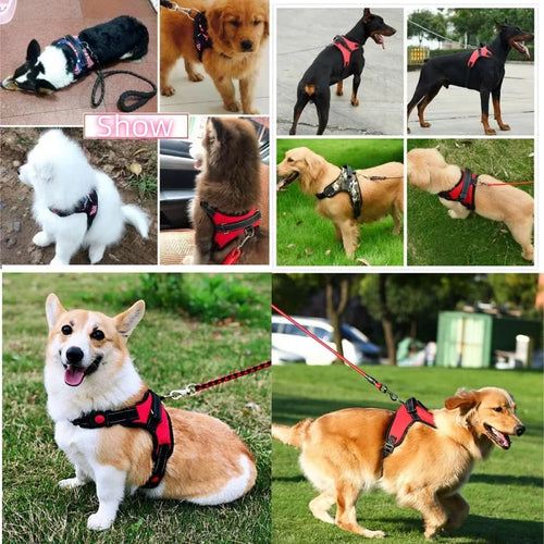 Strong No-Pull Dog Vest Harness with Padded and Reflective Design