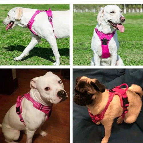 Reflective Adjustable Dog Harness – Breathable Vest for All Sizes