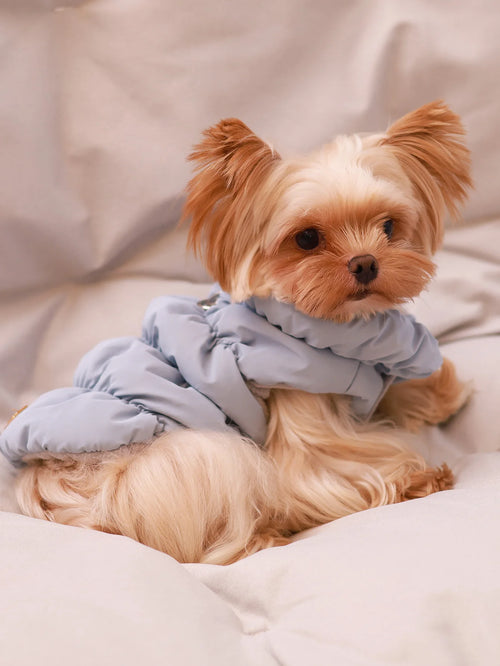 Thick Warm 3-Layer Puppy Jacket for Autumn Winter Poodle Teddy Yorkie