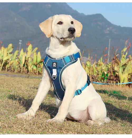 Adjustable Reflective Oxford Dog Vest Harness for Training and Walks