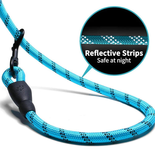 Reflective Nylon Dog Leash – Padded No-Slip Handle, Adjustable Fit