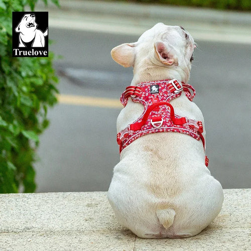 Floral Cotton No-Pull Dog Harness with Padded Comfort, Adjustable