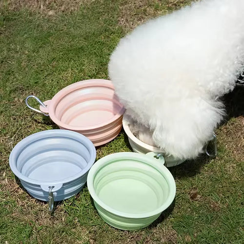 Foldable Silicone Dog & Cat Bowl – Portable Travel Feeding Bowl