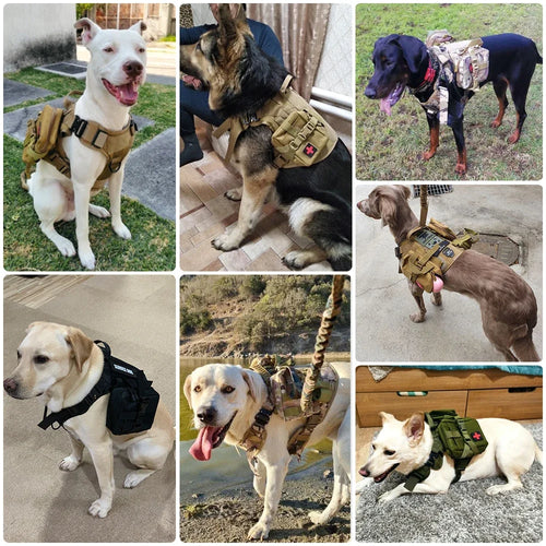 Tactical Dog Harness with MOLLE System – Heavy-Duty Large Dog Vest