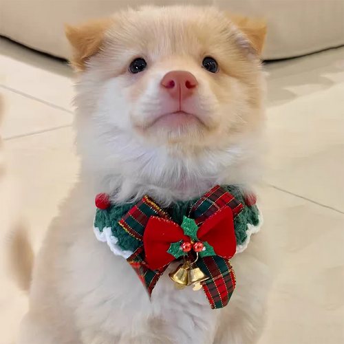 Crocheted Christmas Cat Bow Tie Collar for Kittens and Puppies