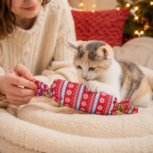 Christmas Candy Cat Toy with Crinkle Paper Plush Chew Toy for Kittens