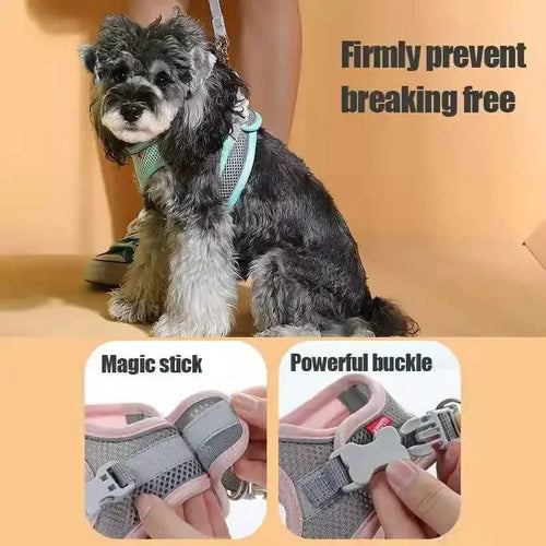 Breathable Mesh Pet Harness with Reflective Safety Stitching Set
