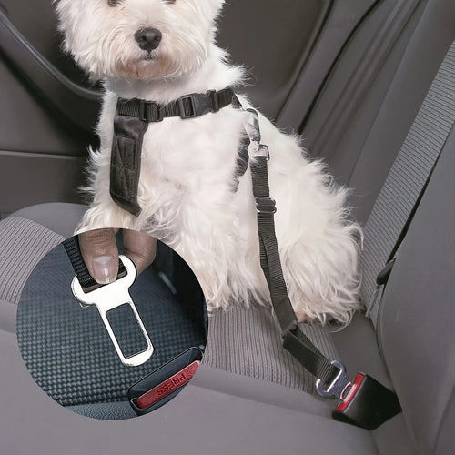 Pet Seat Belt Adapter Clips – Metal Car Leash Connectors