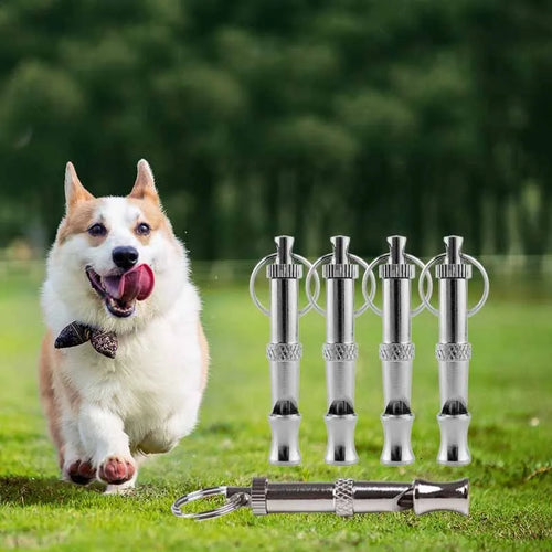 Adjustable Pitch Dog Whistle with Keychain – Training & Recall