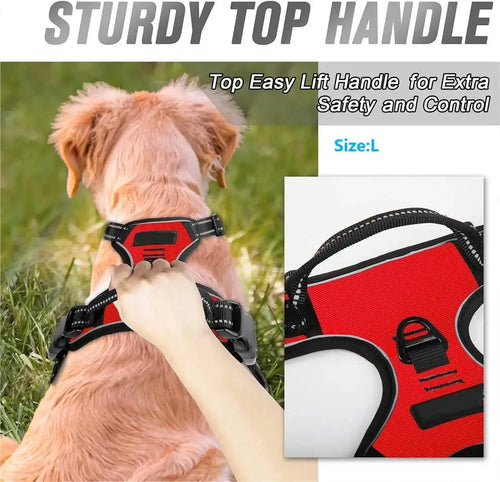 Personalized Leather-Style Dog Harness Set – Comfortable Vest