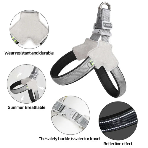 Adjustable Reflective Dog Harness for Hiking, Walking, and Travel