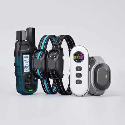 Pet Training Accessories