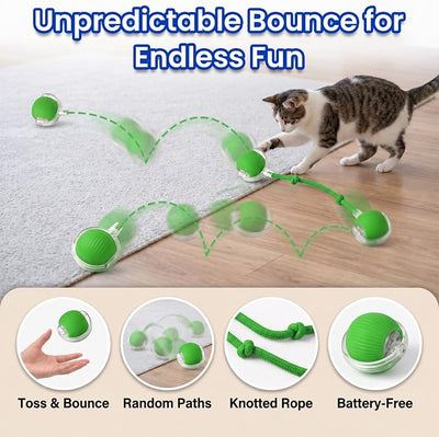 Automatic Rolling Dog Ball Toy - Rechargeable Smart Interactive Toy