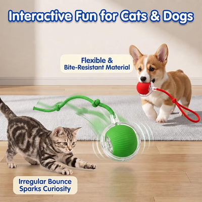 Automatic Rolling Dog Ball Toy - Rechargeable Smart Interactive Toy