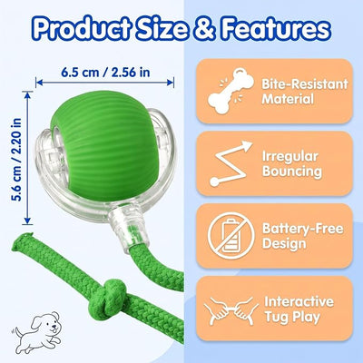 Automatic Rolling Dog Ball Toy - Rechargeable Smart Interactive Toy