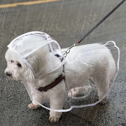 Clear Waterproof Dog Raincoat – Small & Medium Breed Rain Jacket