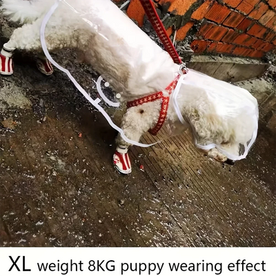 Clear Waterproof Dog Raincoat – Small & Medium Breed Rain Jacket