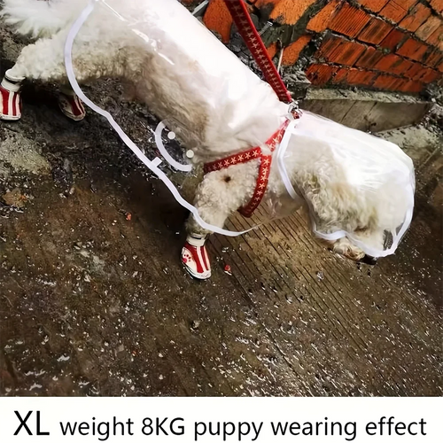 Clear Waterproof Dog Raincoat – Small & Medium Breed Rain Jacket