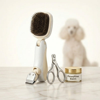 Dog Grooming & Care
