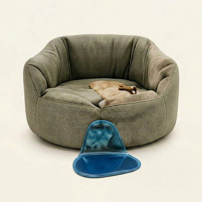 Pet Comfort & Wellness