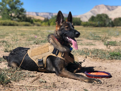 Tactical Dog Harness with MOLLE System – Heavy-Duty Large Dog Vest