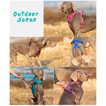 No-Pull Nylon Dog Harness | Adjustable Front Vest for All Dogs