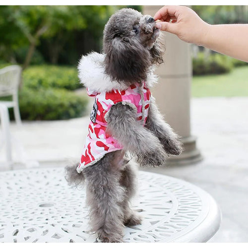 Winter Camouflage Hooded Puppy Coat, Warm Windproof Pet Jacket XS-2XL