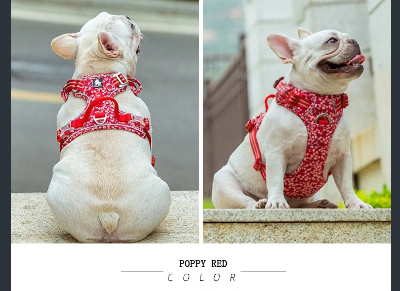 floral cotton no-pull dog harness with padded comfort, adjustable