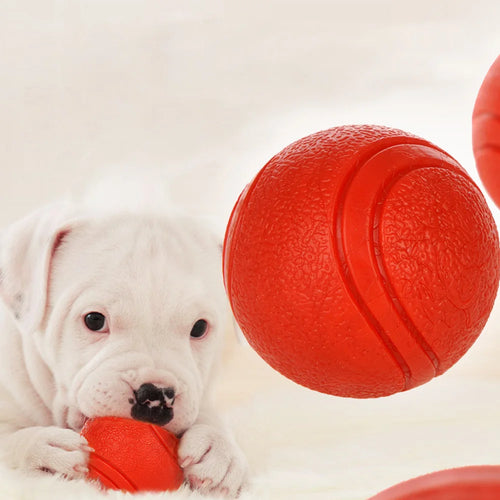 Durable Rubber Bounce Ball - Bite-Resistant Dog Toy for All Sizes