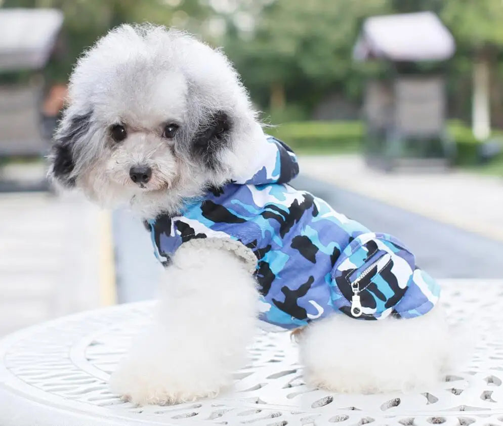 winter camouflage hooded puppy coat, warm windproof pet jacket xs-2xl