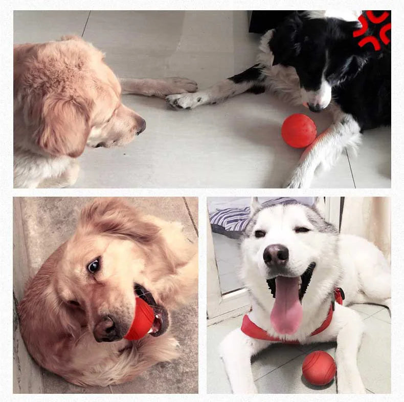 durable rubber bounce ball - bite-resistant dog toy for all sizes