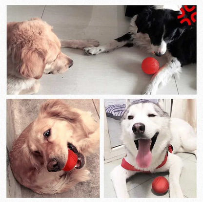 Durable Rubber Bounce Ball - Bite-Resistant Dog Toy for All Sizes