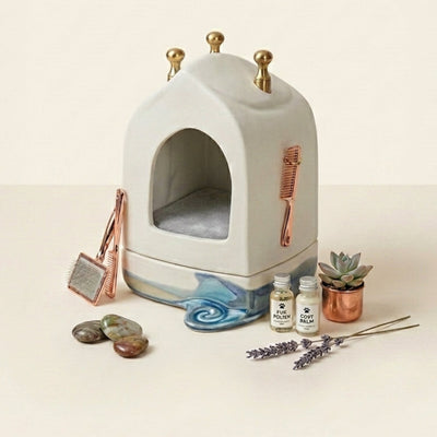 Cat Grooming & Home