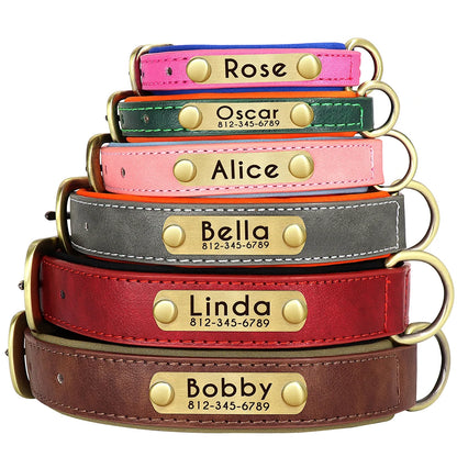 Padded Leather Dog Collar and Leash Set with Custom Nameplate Tag