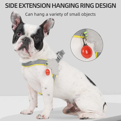 No-Pull Vest Harness for Small Dogs & Cats - Reflective, Adjustable