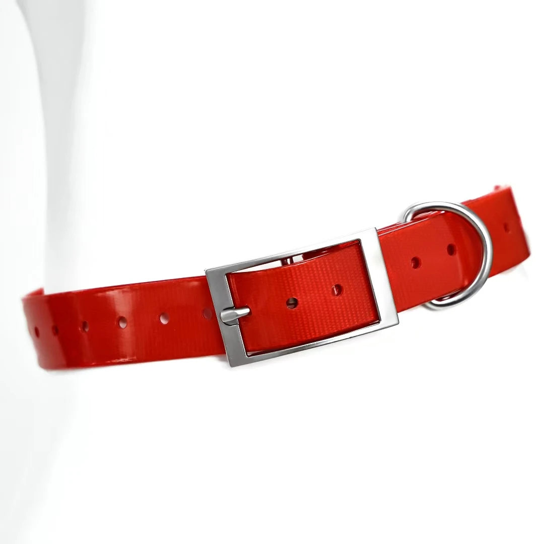 2.5cm wide heavy-duty tpu dog collar for hunting, training, and everyday walks