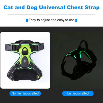 Rechargeable LED Dog Harness, Adjustable Light Up Glow Vest for Dogs